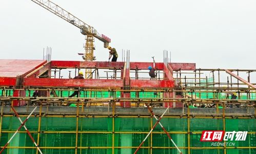 湖南新田重點學位工程建設勘察工作全面展開